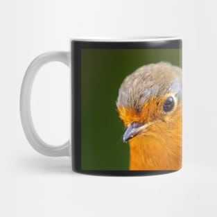 Robin Redbreast Mug